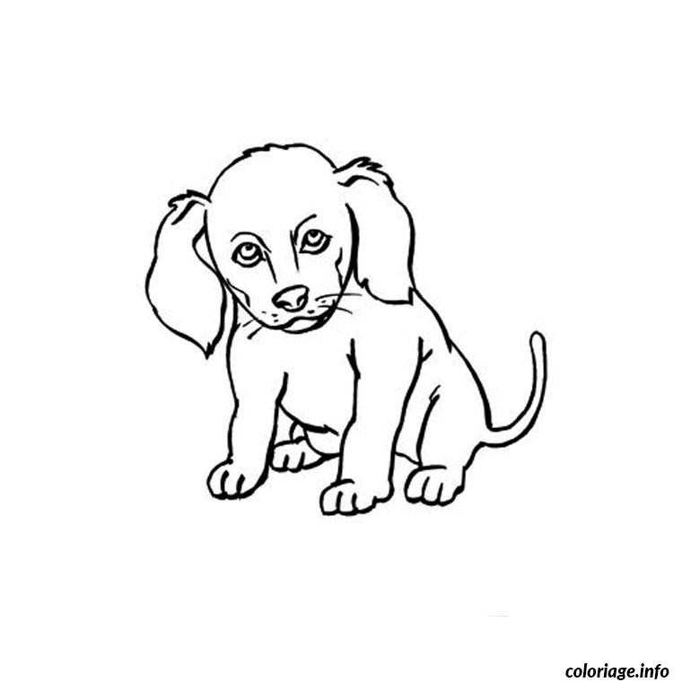 chien coloriage dessin