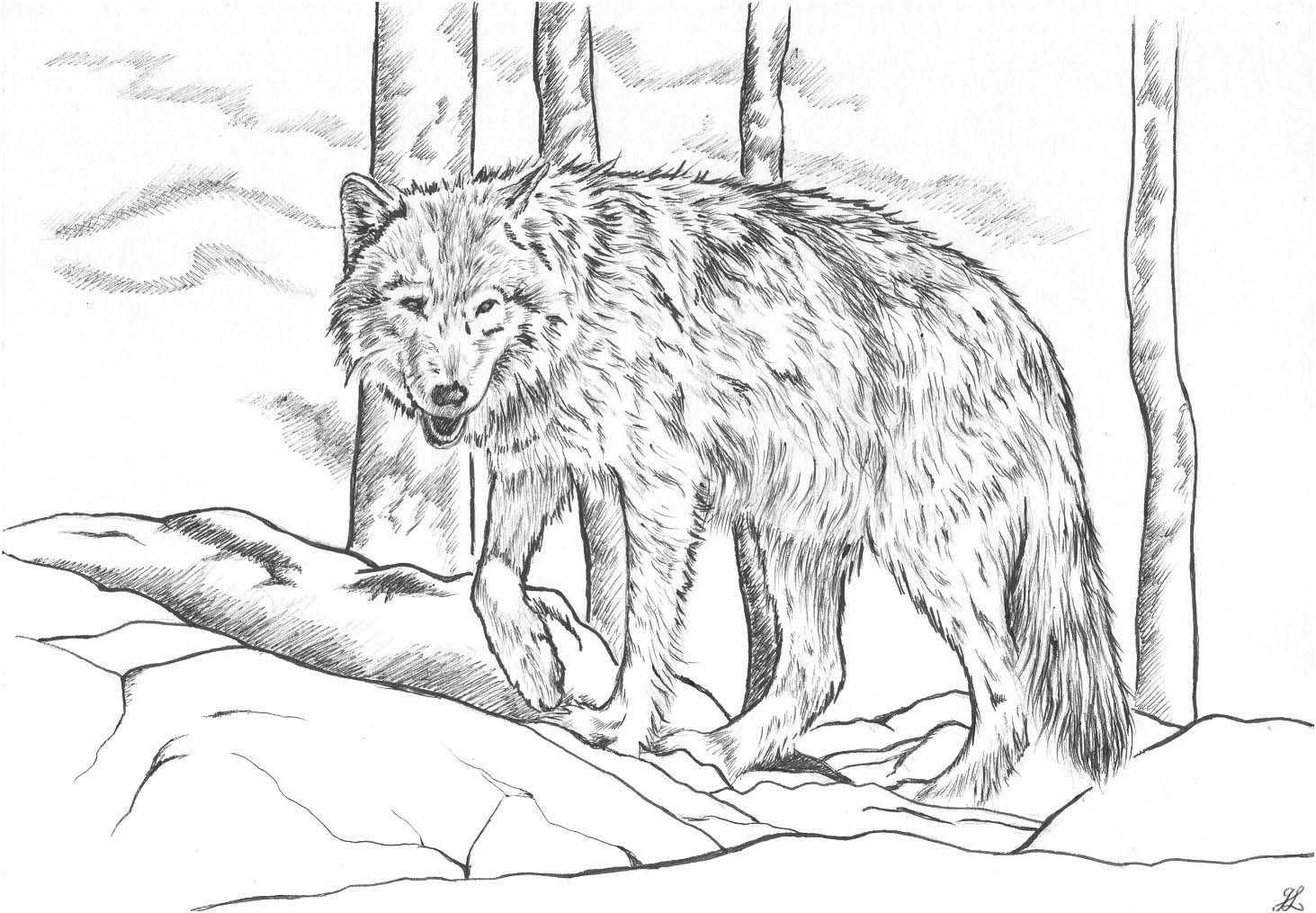 119 dessins de coloriage loup imprimer avec coloriage loup et dessiner un loup facilement 20 px dessiner un loup facilement