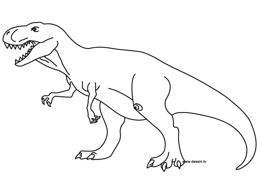 coloriage dinosaure tyrannosaure