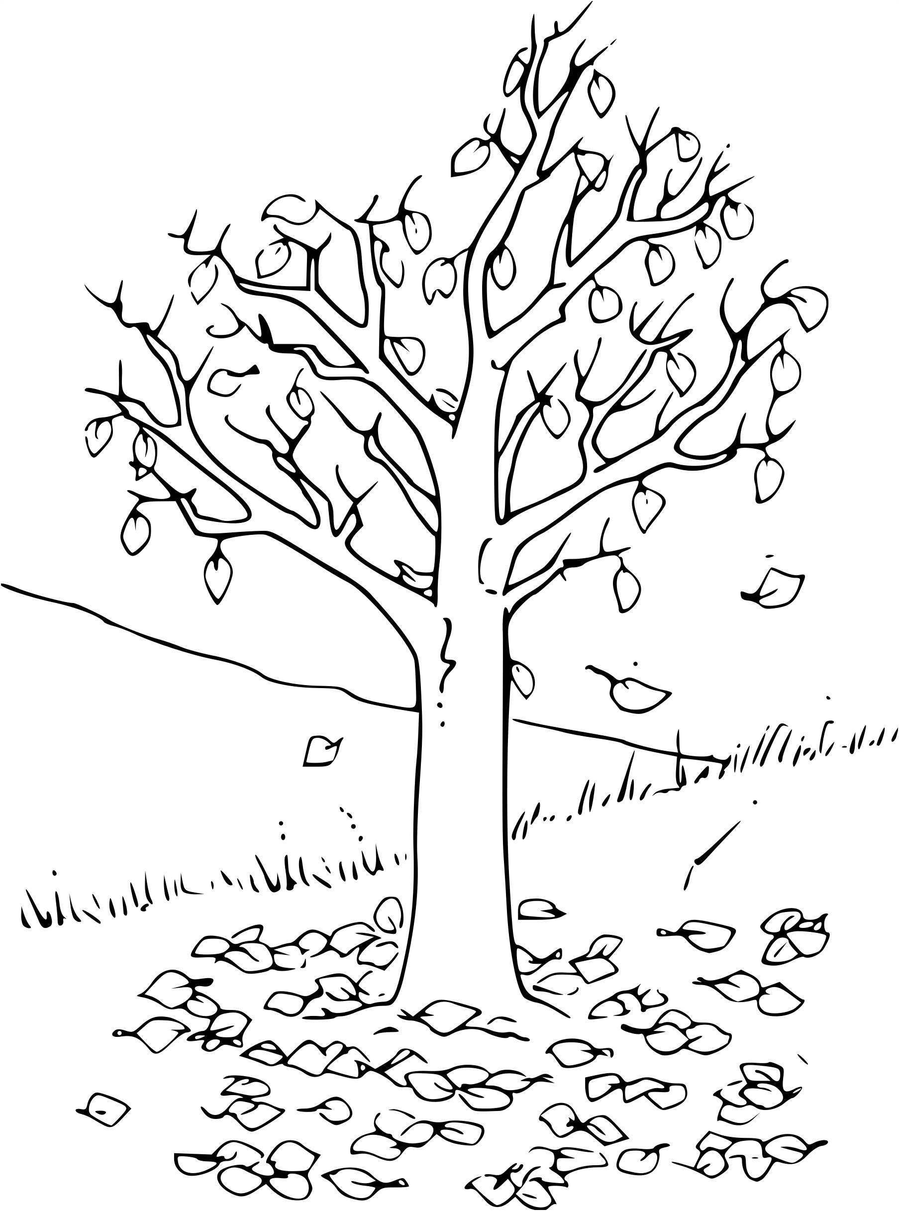dessin de feuille d arbre a imprimer