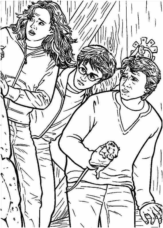 harry potter coloring pages quidditch