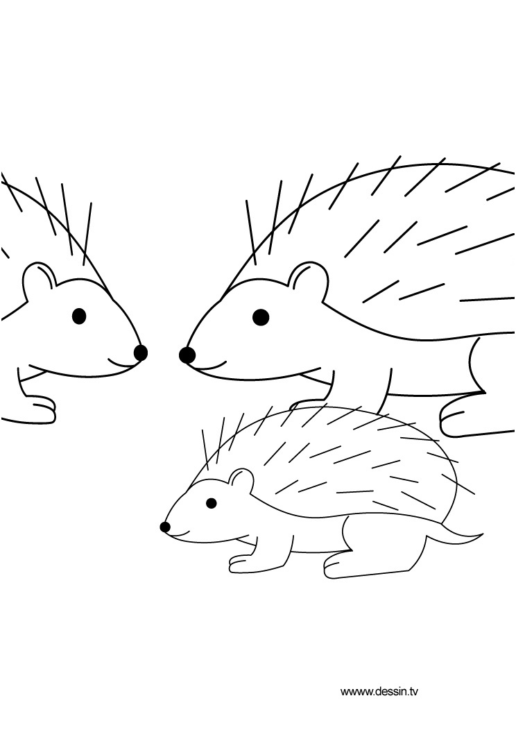 nazo the hedgehog coloring pages sketch templates