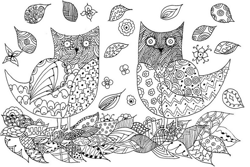 coloring owls