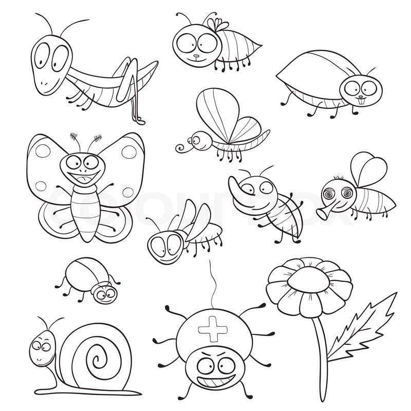 coloring book with insects vector