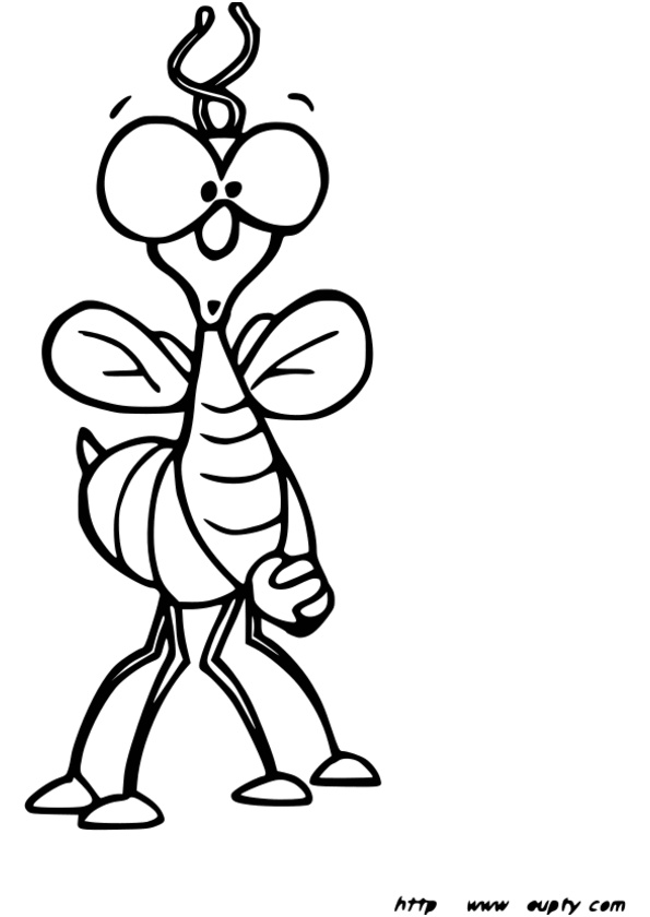 dessiner des insectes ce1
