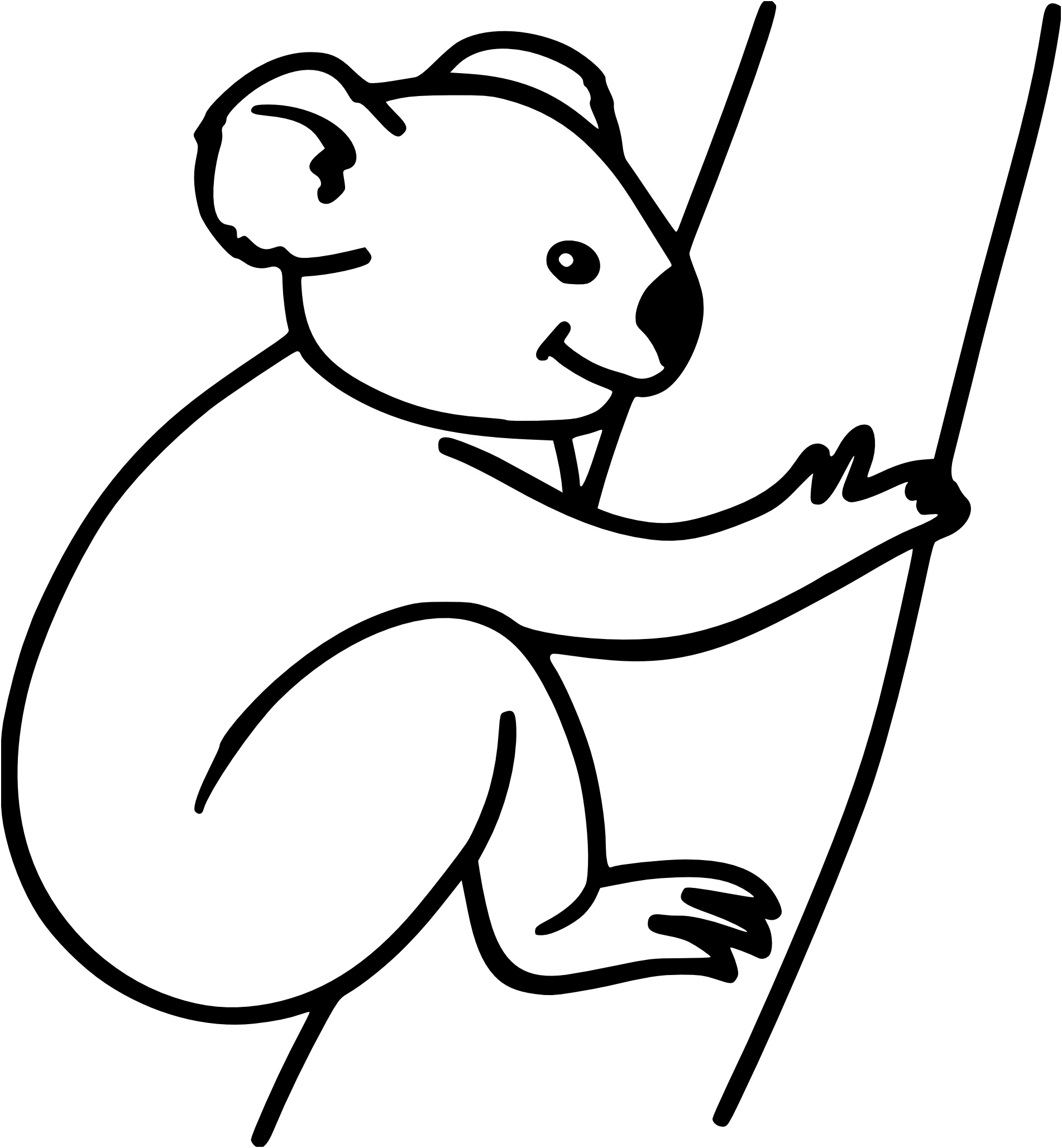 coloriage koala