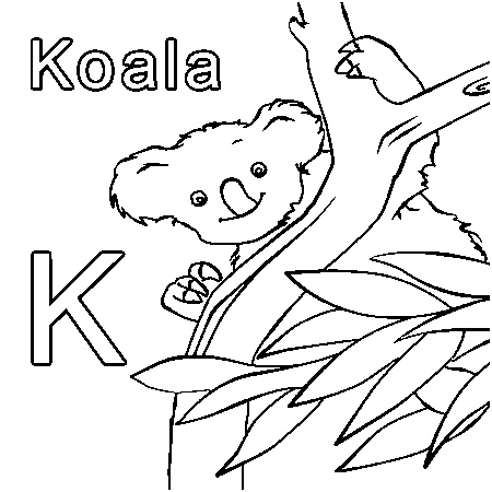 dessin de koala 8