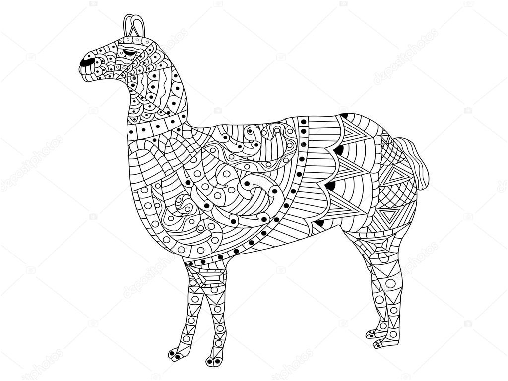 stock illustration lama coloring vector for adults