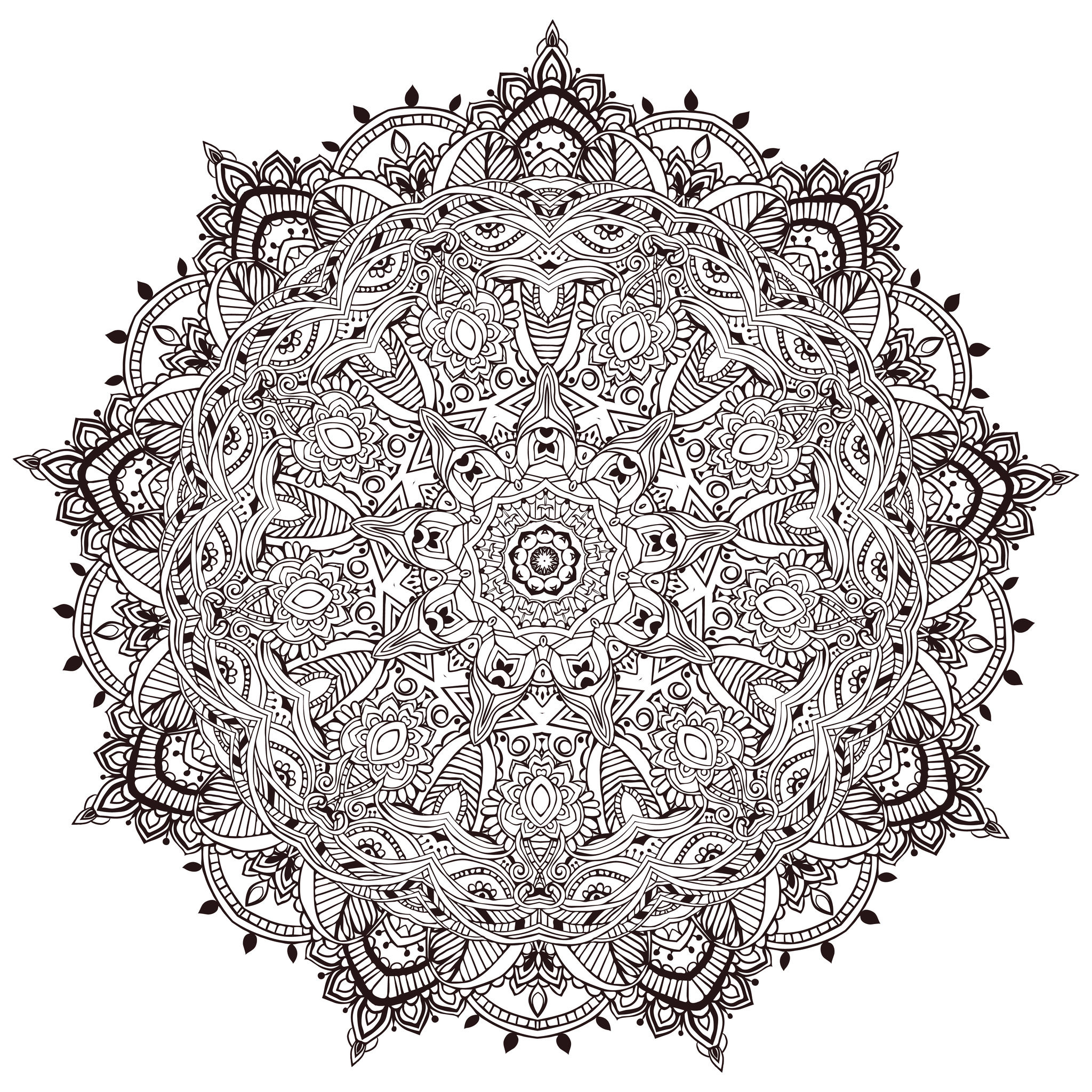 image=very difficult Un Coloriage de Mandala Ultra detaille Anvino 1