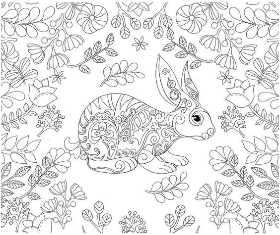 coloring rabbit