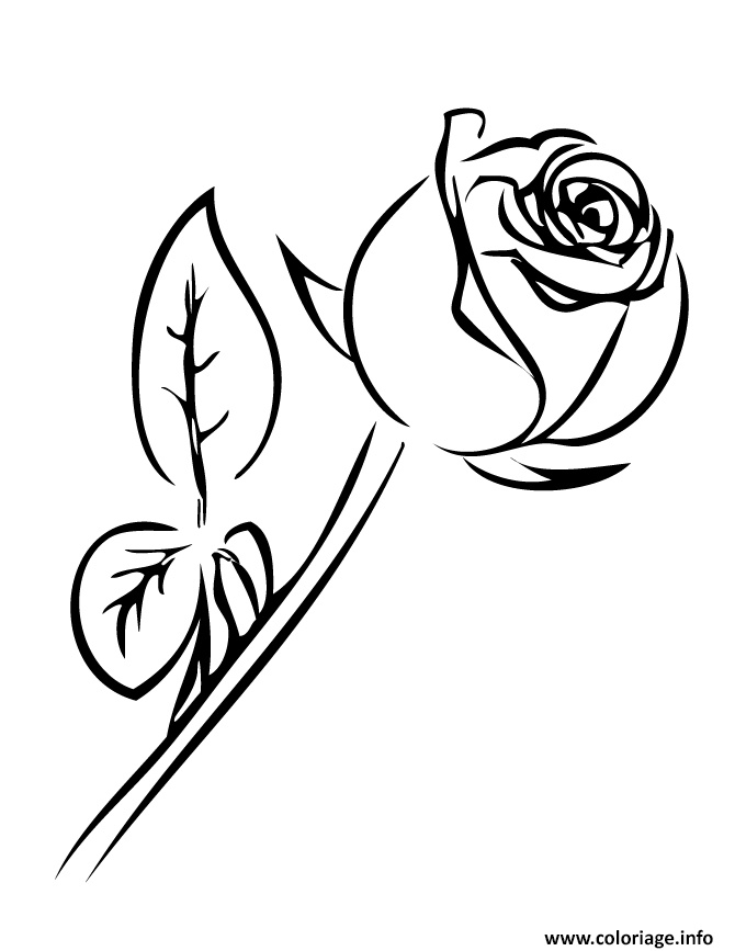 rose simple noir et blanc coloriage dessin