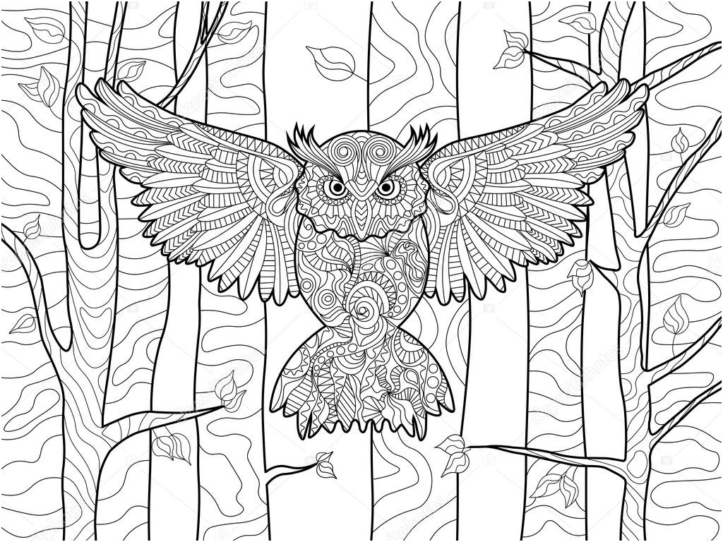 stock illustration owl in the forest coloring
