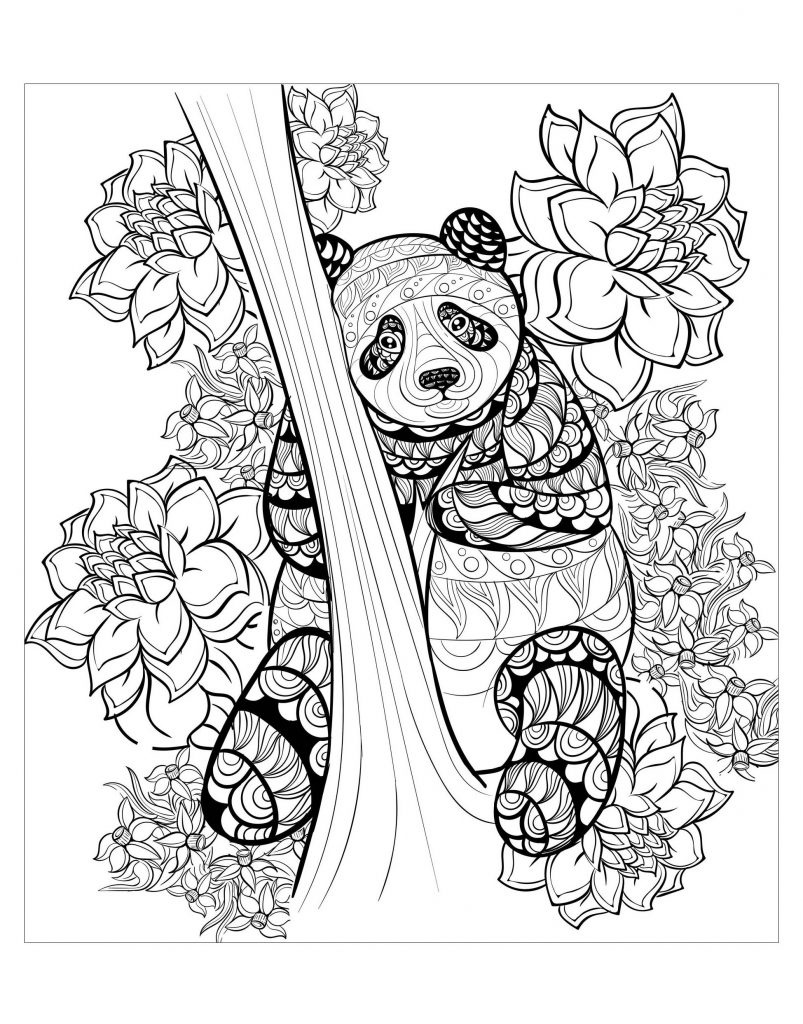 coloriage panda bambou