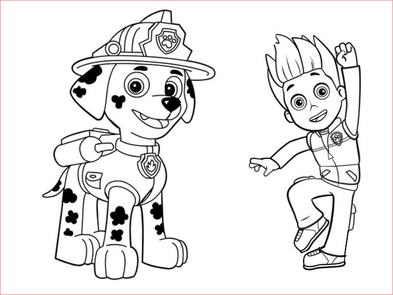 skye paw patrol coloring pages sketch templates