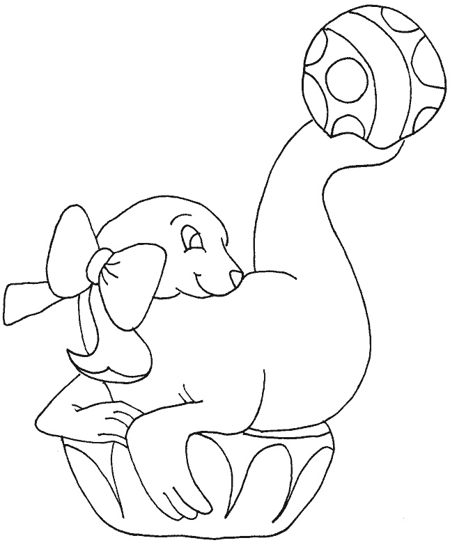 coloriage animaux org js otarie3 png
