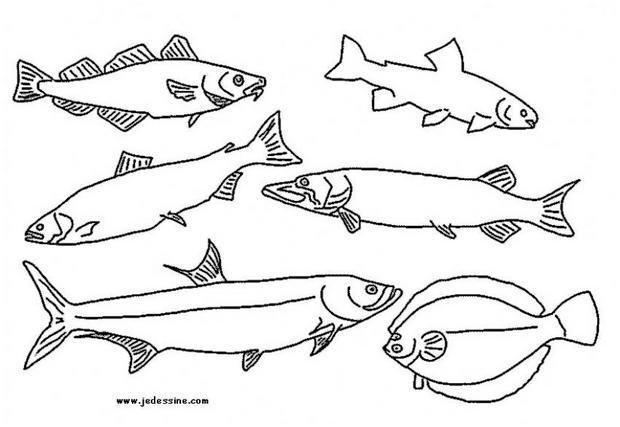 coloriage de plusieurs poissons
