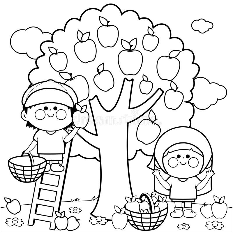 illustration stock enfants moissonnant la page de livre de coloriage de pommes image
