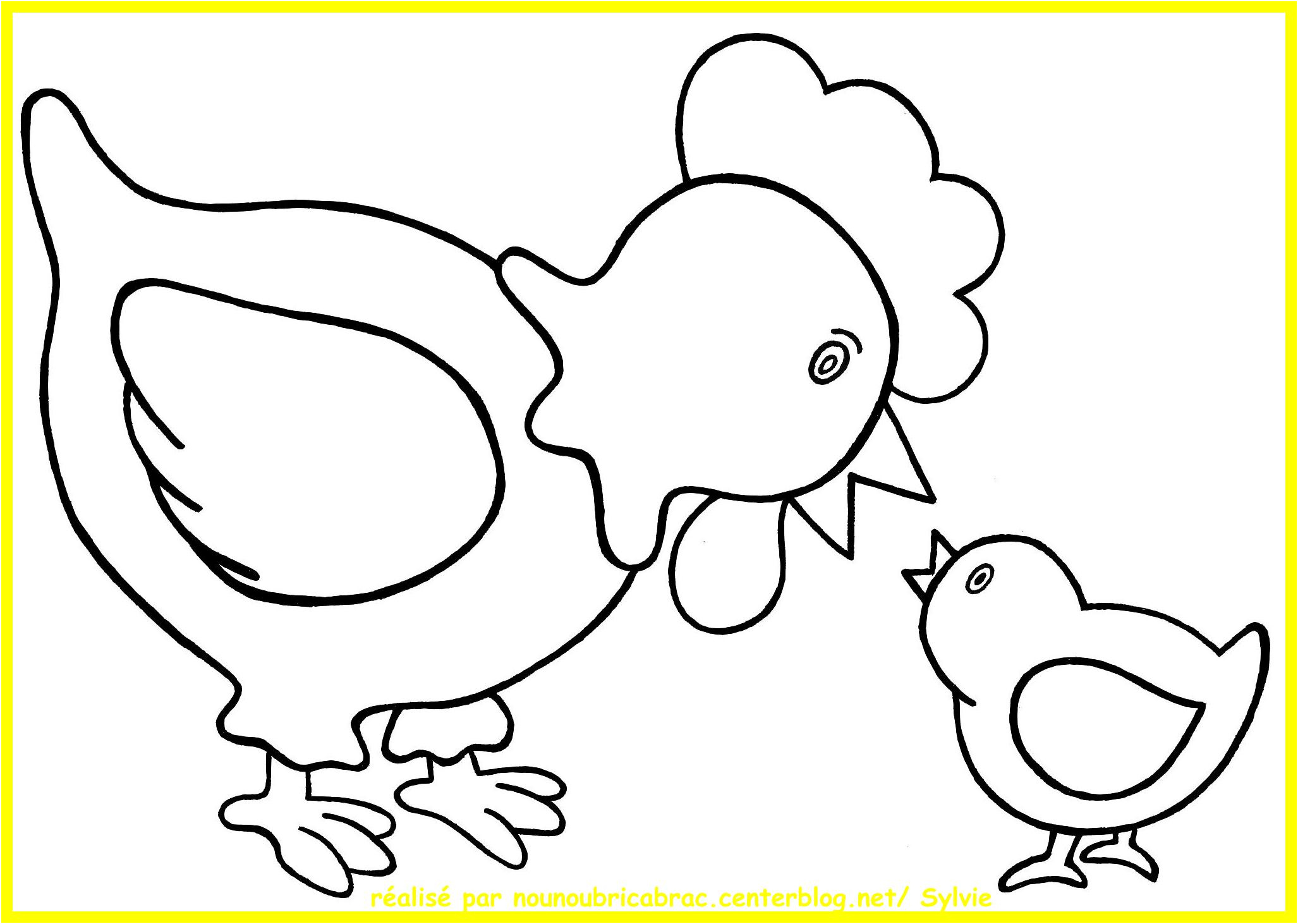 coloriage poule