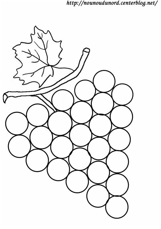 2005 coloriage grappe de raisin dessine par nounoudunord