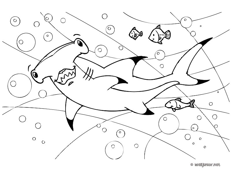 coloriage de requin marteau requin marteau coloriage animaux gratuit sur webjunior