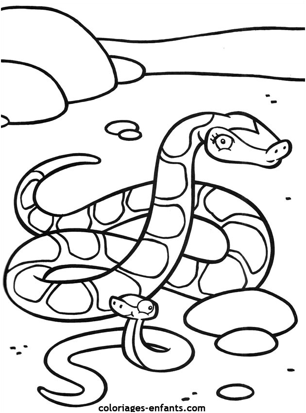dessin de serpent a colorier