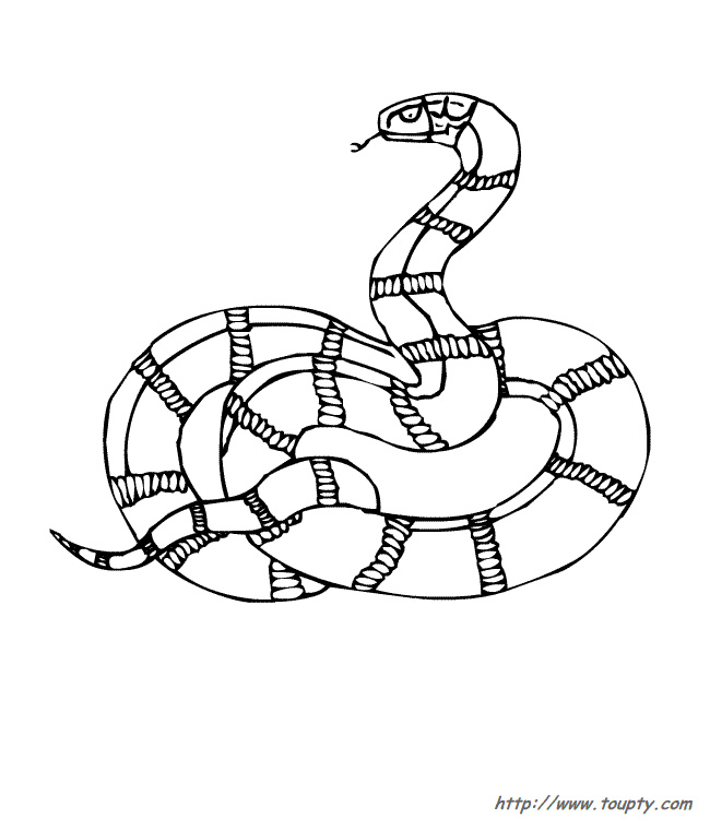 coloriage serpent num=14