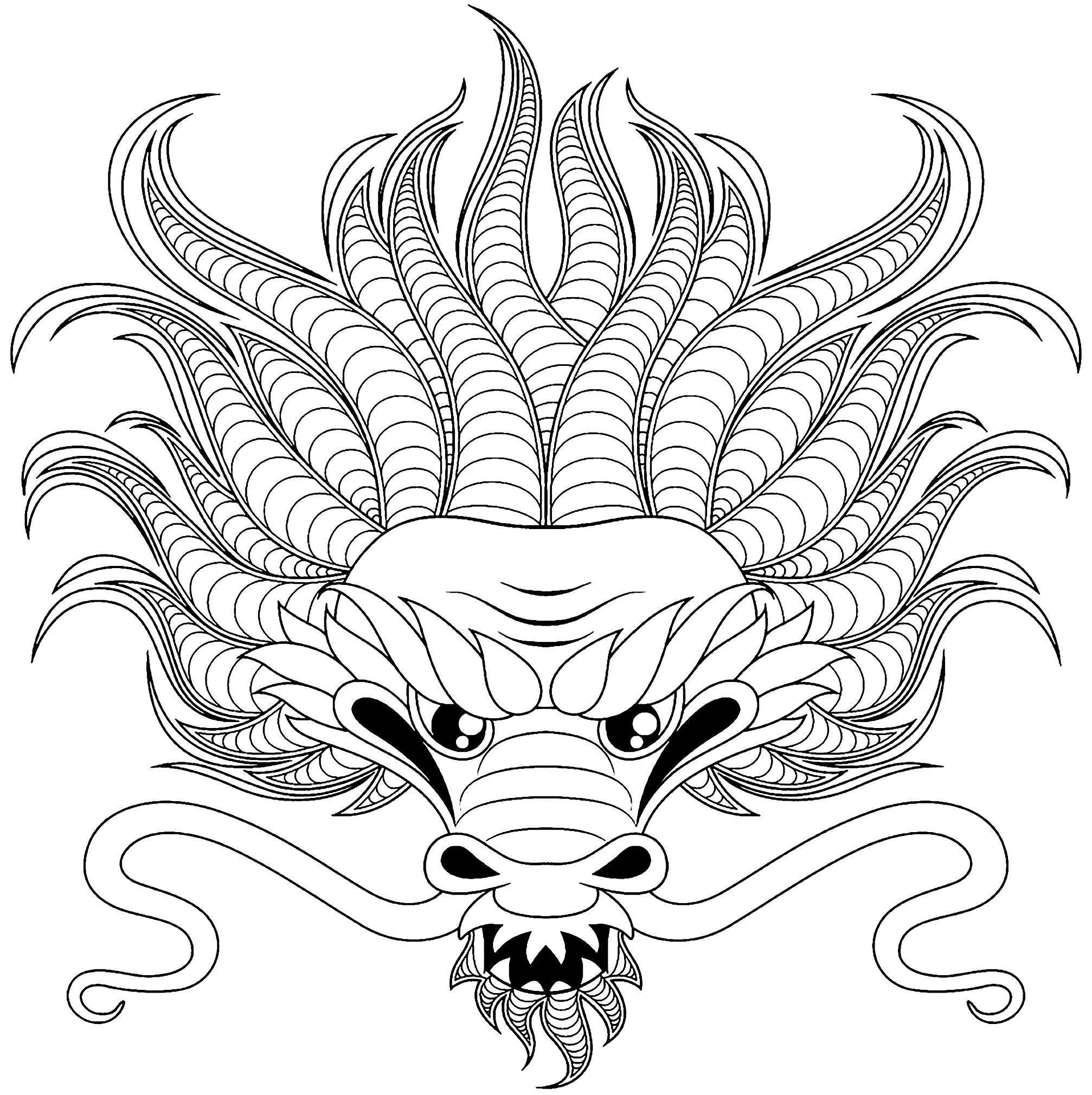 image=dragons coloriage tete de dragon style tatouage 1