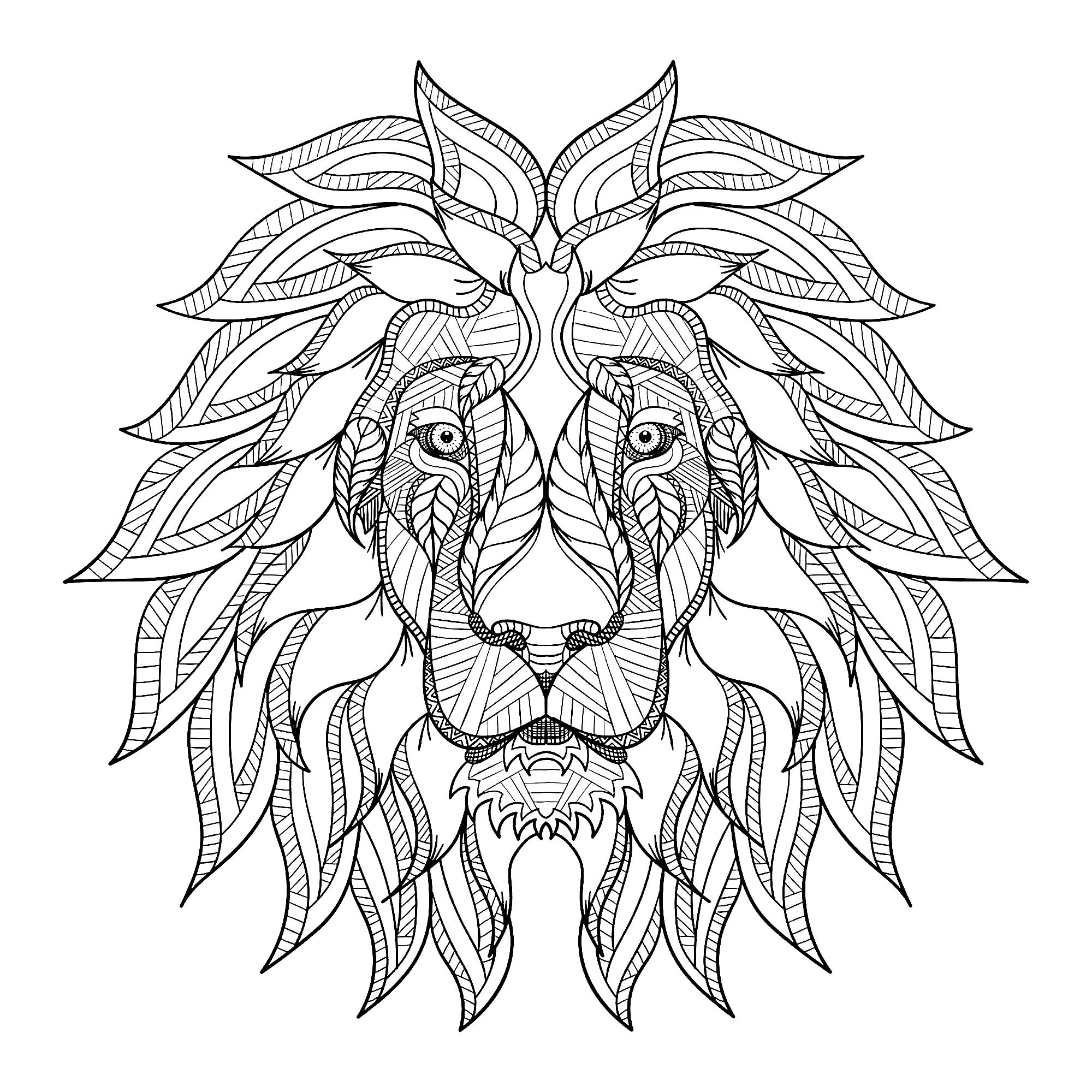 image=lions coloriage tete de lion et criniere 1