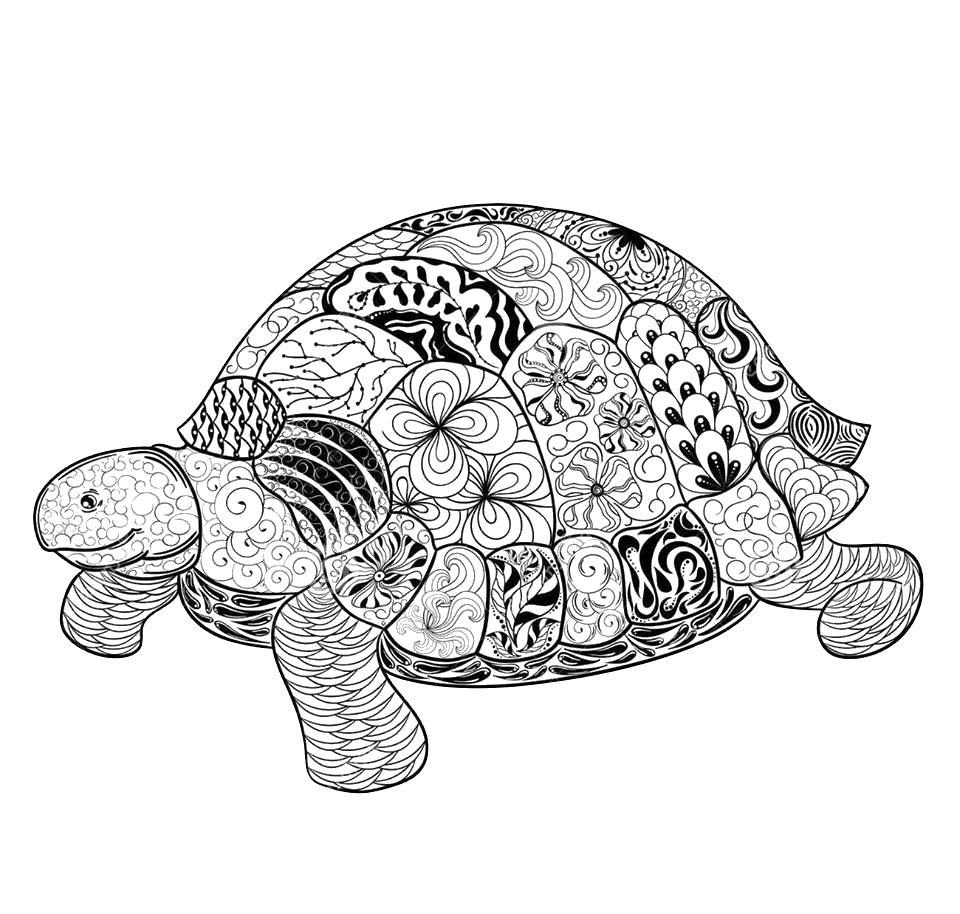 turtle mania dedans mandala tortue
