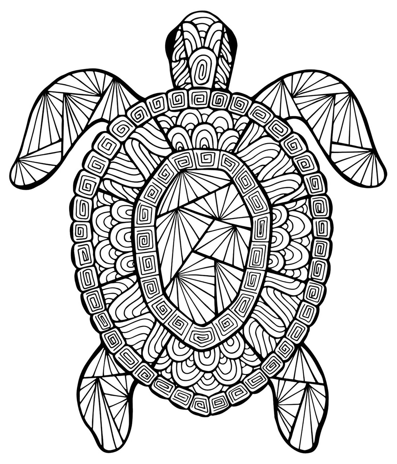 coloriage mandala de tortue