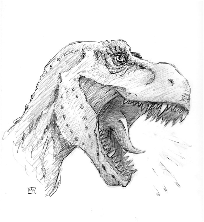 dessin de t rex 10