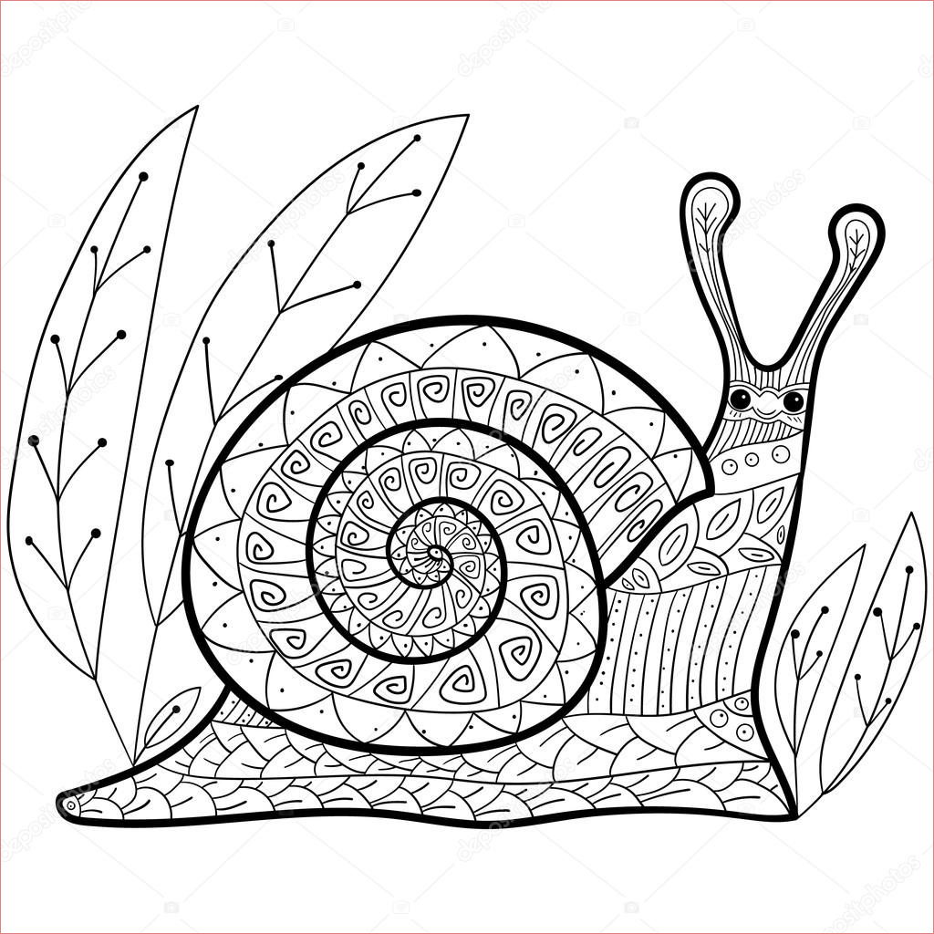 stock illustration cute snail adult coloring book