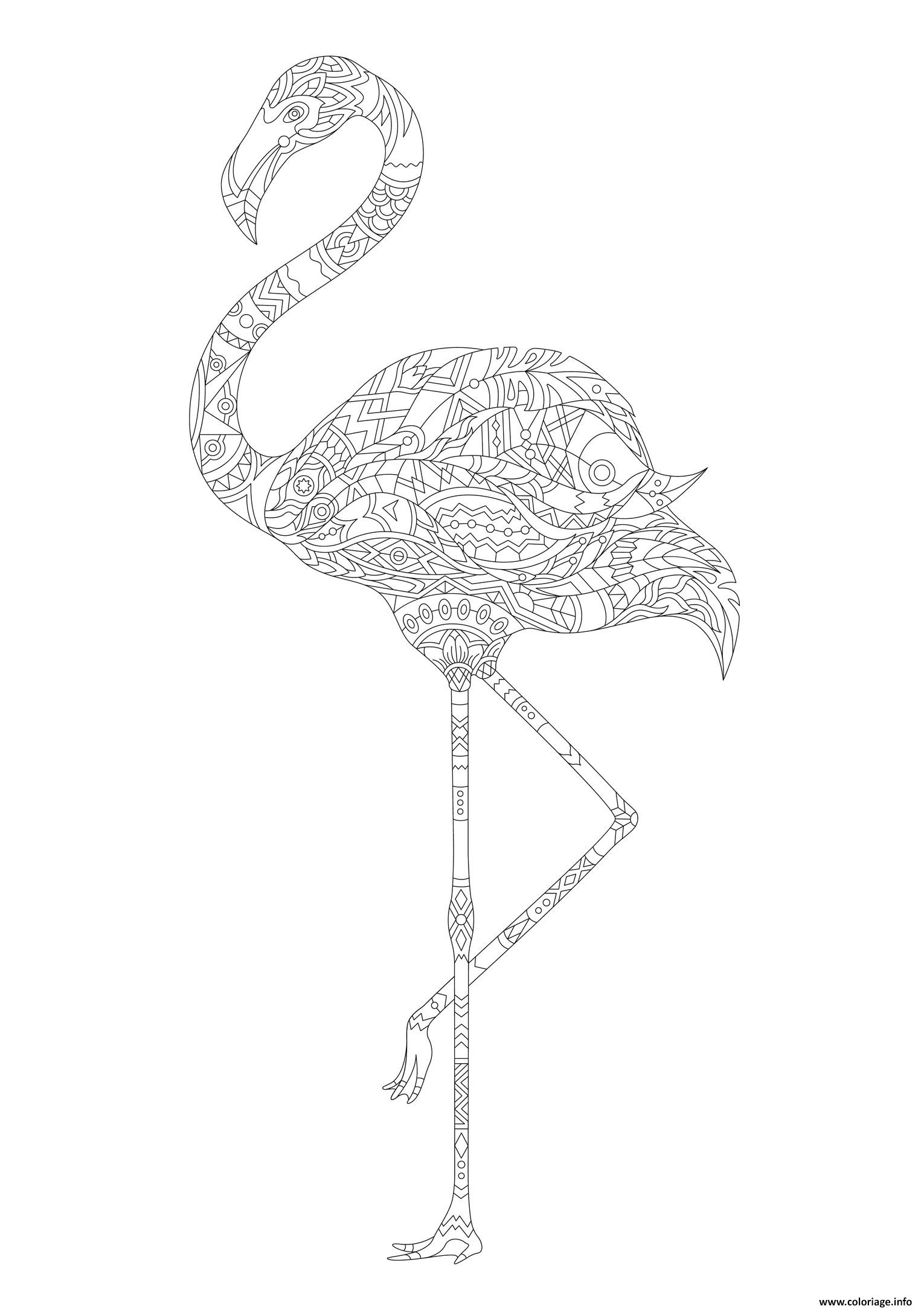 flamant rose adulte animaux coloriage