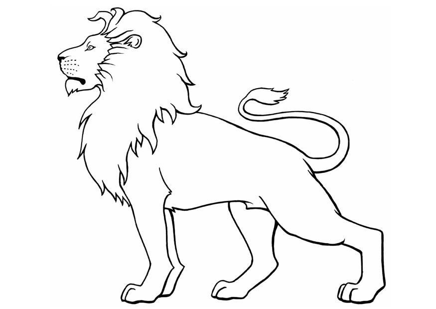 coloriage lion i8904