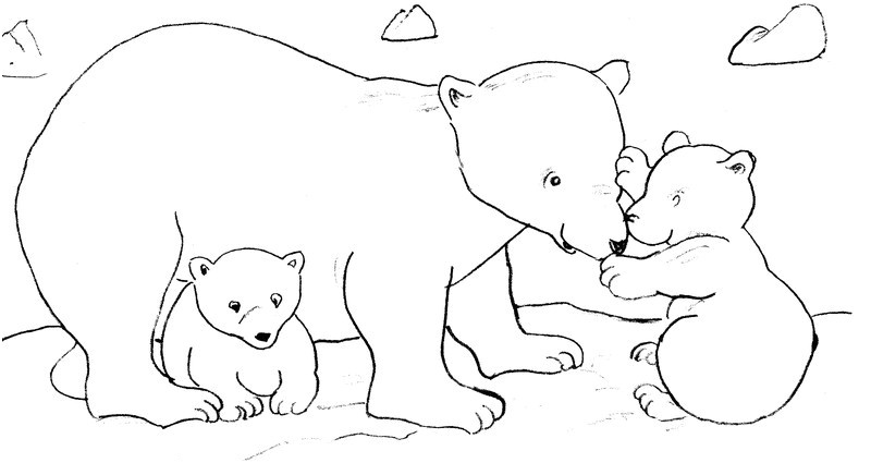coloriage ours blanc dessin ours facile jeu de points relier petit ourson gourmand