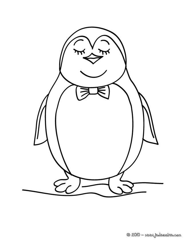 dessin pingouin a colorier
