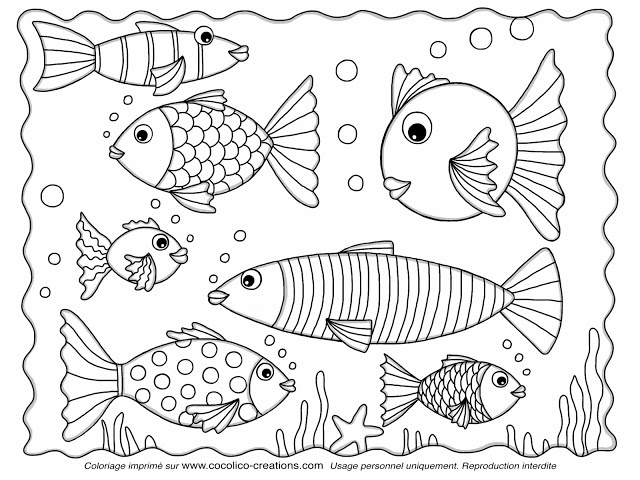 coloriage poissons davril