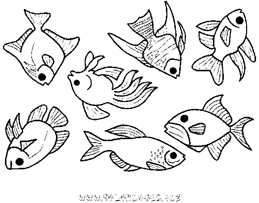 imprimer coloriage 8381 mer et poissons