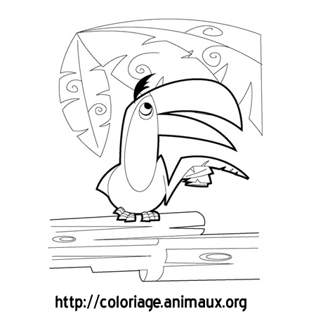 coloriage dessin toucan