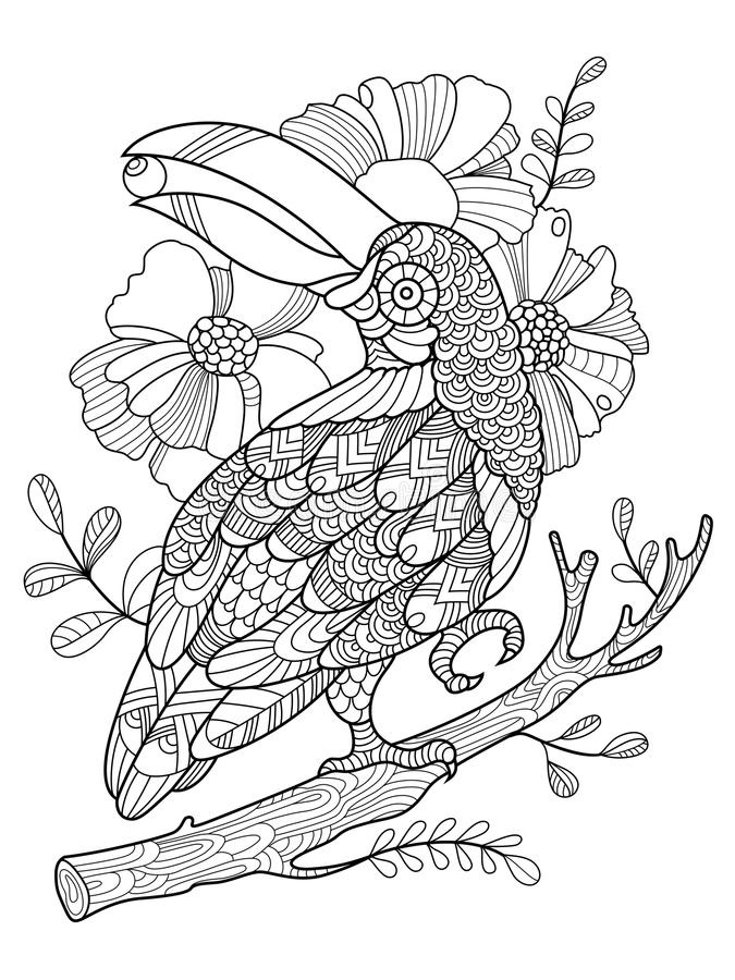 illustration stock livre de coloriage d oiseau de toucan pour le vecteur d adultes image