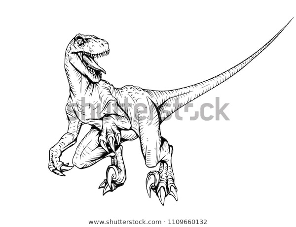 velociraptor dinosaur adult coloring book ic