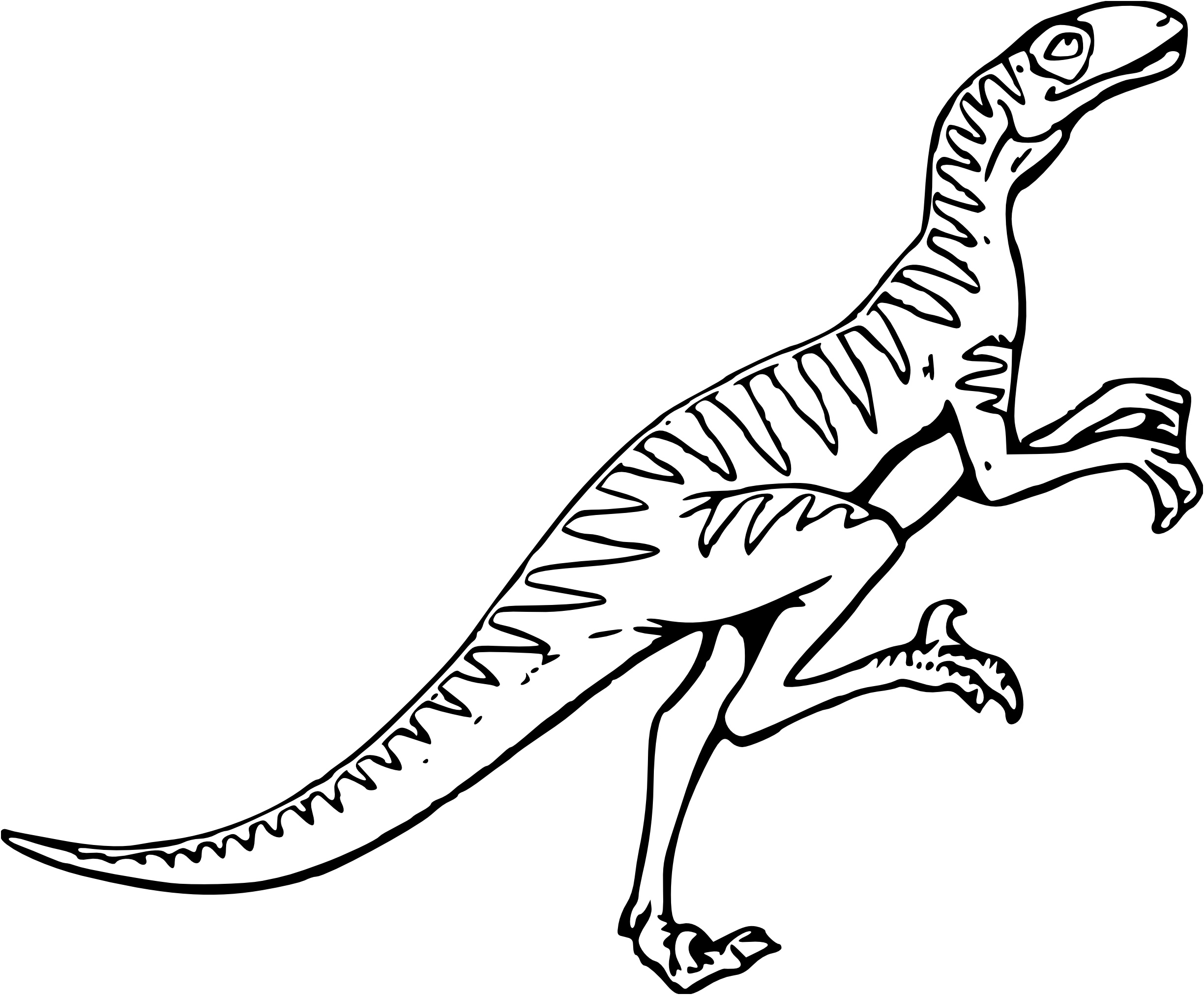 coloriagevelociraptor