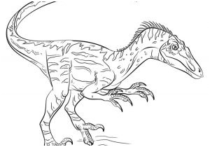 coloriage dinosaure velociraptor coloriage indominus rex jurassic park dinosaure dessin imprimer