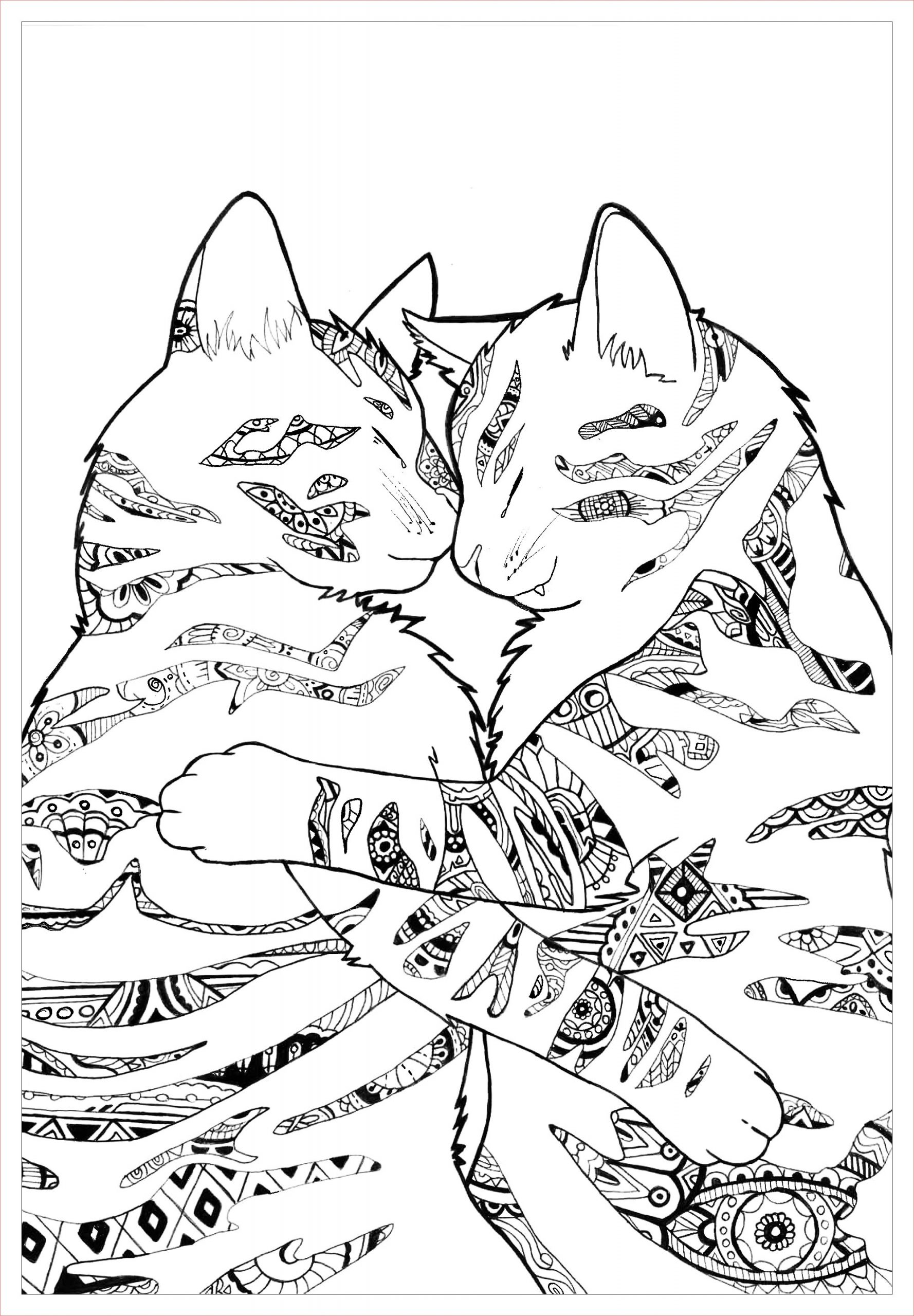 image=cats coloring page cats by paulined 1