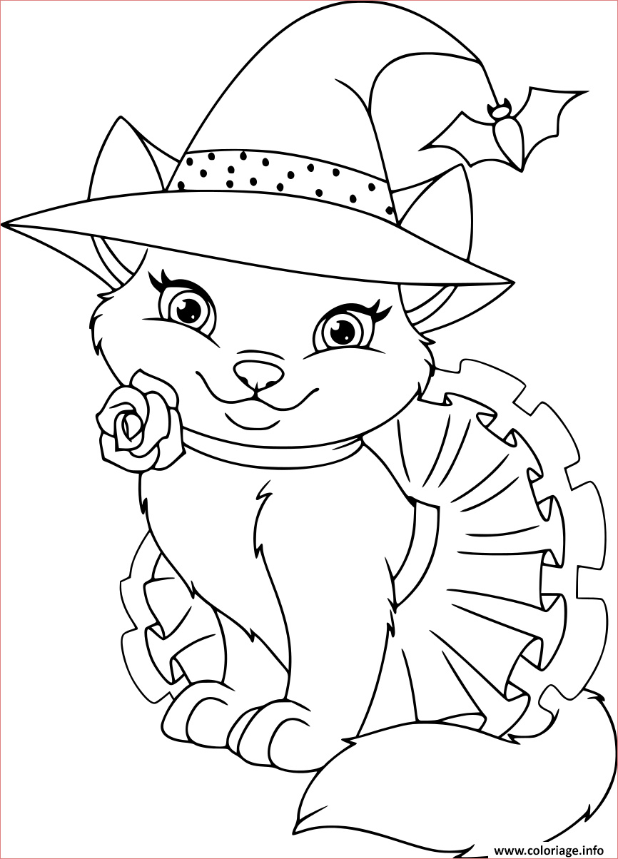 chat sorciere coloriage dessin