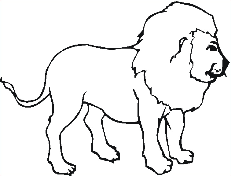 dessin le lion et le moucheron