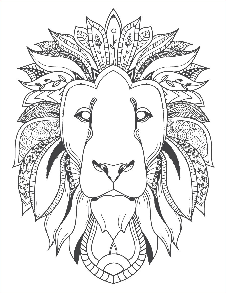 image felin tete de lion coloriage pour adulte a imprimer