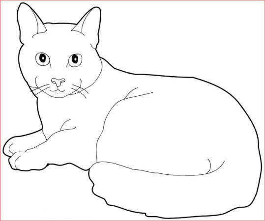 Coloriage De Chat A Imprimer Gratuit Frais Coloriage Chat à Colorier Dessin à Imprimer