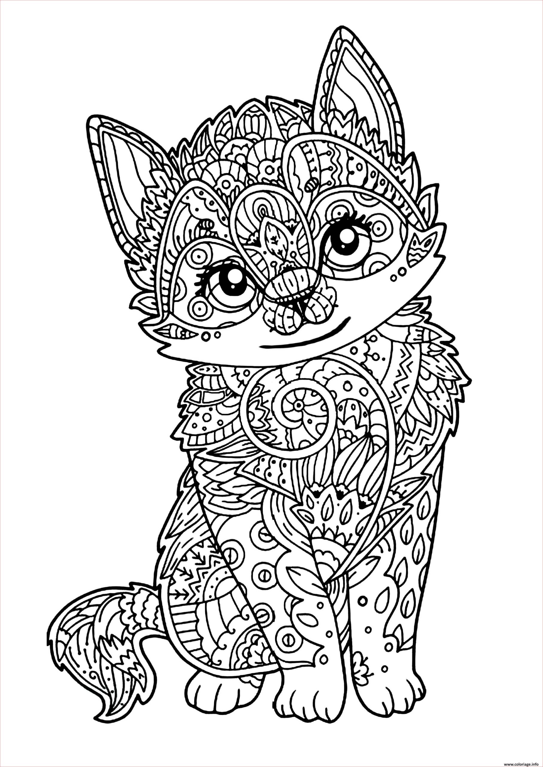 chat mignon chaton adulte coloriage dessin