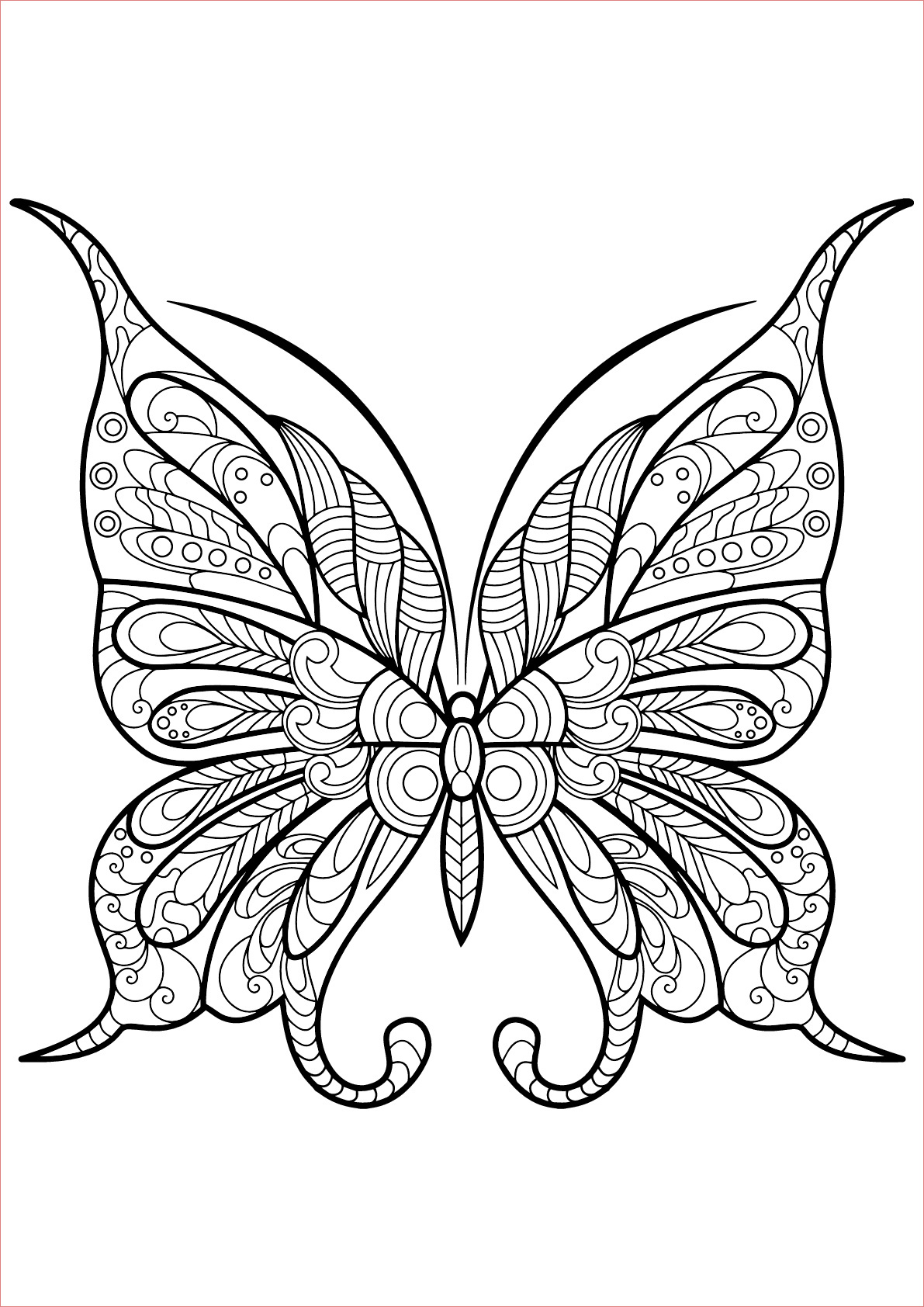 image=insectes coloriage papillon jolis motifs 9 1